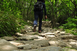 2014년 하계 워크샵