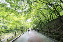 순창군 강천산 군립공원