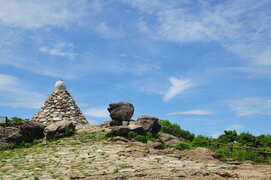 2014년 하계 워크샵