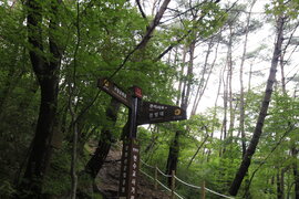 순창군 강천산 군립공원