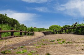 2014년 하계 워크샵