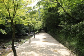 순창군 강천산 군립공원