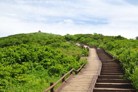 2014년 하계 워크샵