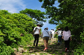 2014년 하계 워크샵