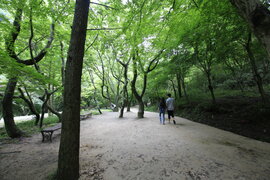 순창군 강천산 군립공원