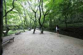 순창군 강천산 군립공원