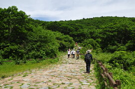 2014년 하계 워크샵