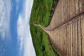 2014년 하계 워크샵